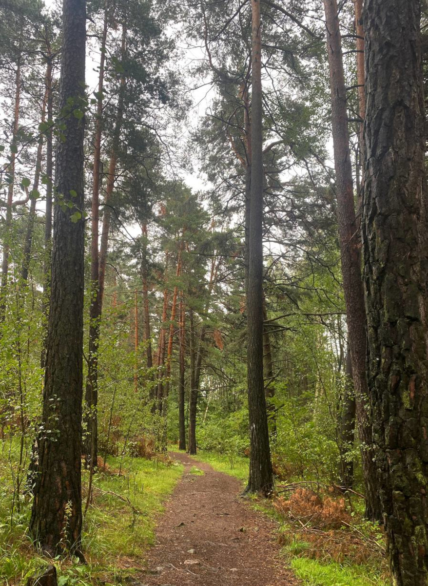 photo credits Ana Z.