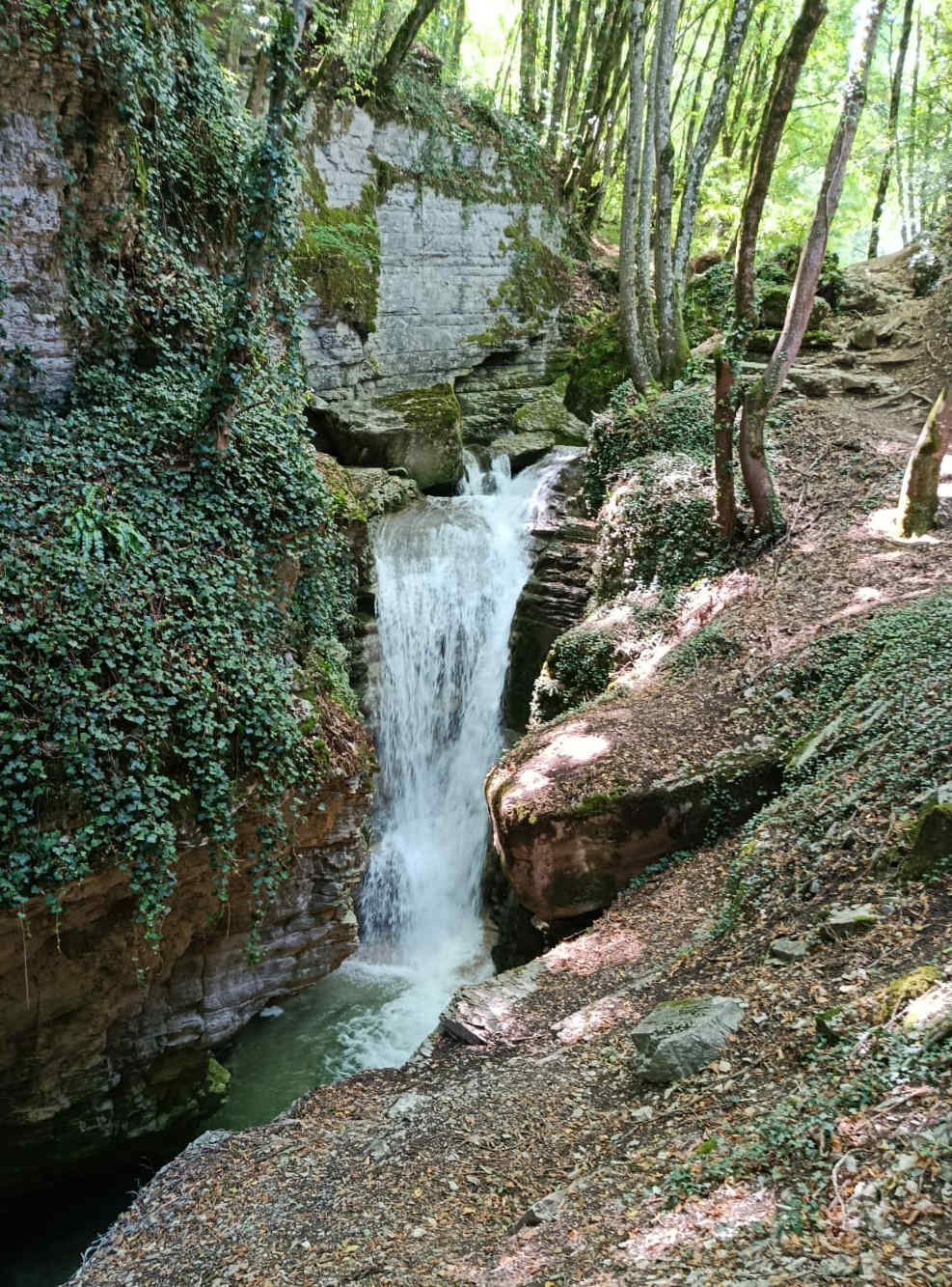 Image credits Manon D.