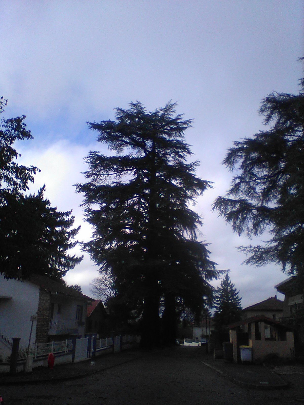 Genas, club d'échecs